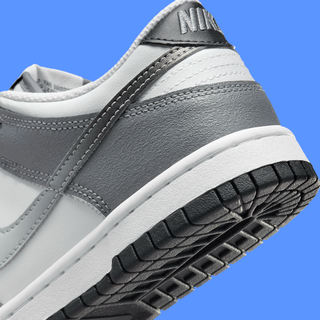 The Nike Dunk Low GS Appears In 